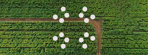 IBM Cloud Carbon Calculator正式上市,助力企业实现可持续发展目标,减少温室气体排放