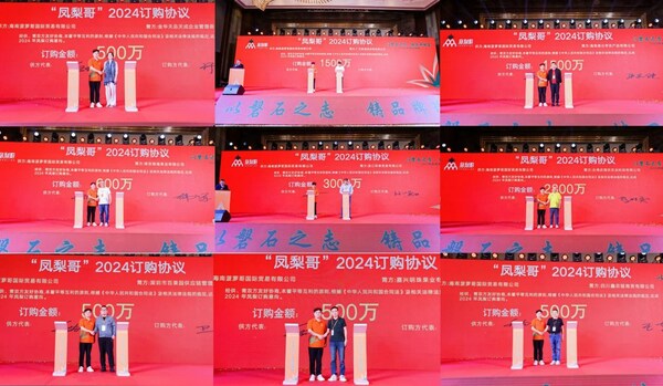 小凤梨 大产业 振兴乡村 海南凤梨产业发展大会采销峰会澄迈开幕